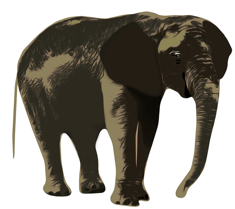 elephant man clipart - photo #32