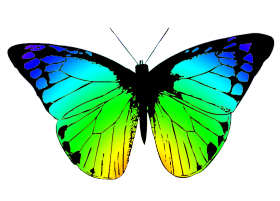 clipart images butterfly - photo #27