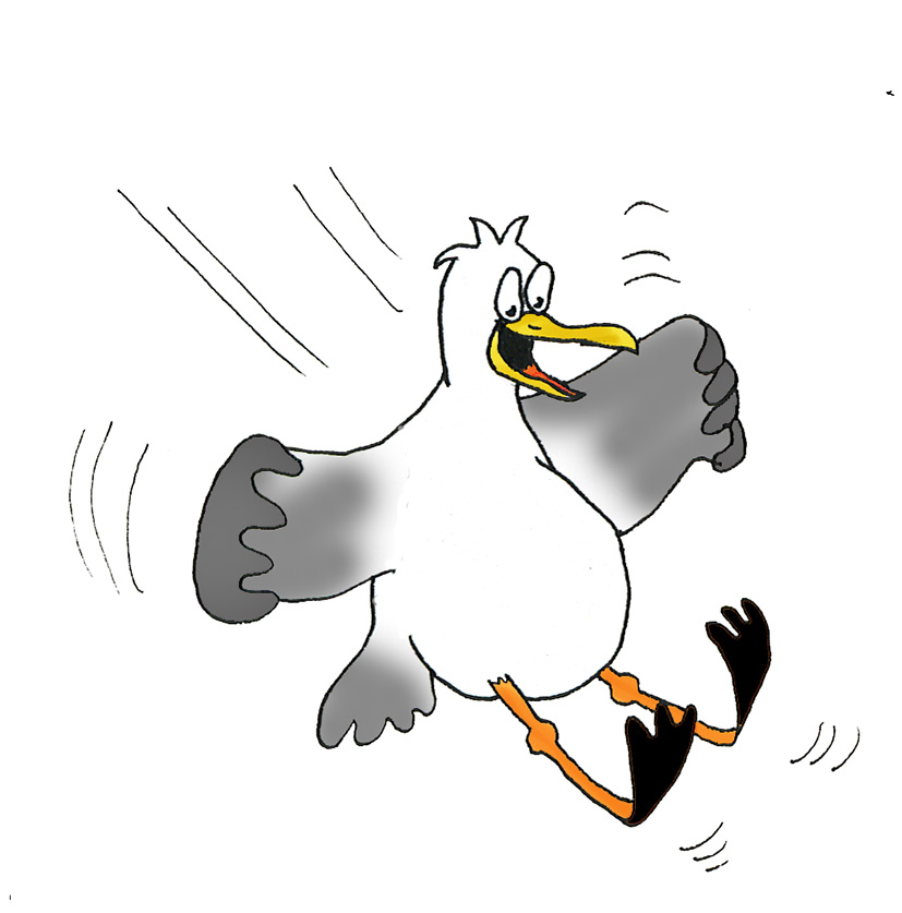 free clip art seagull cartoon - photo #9