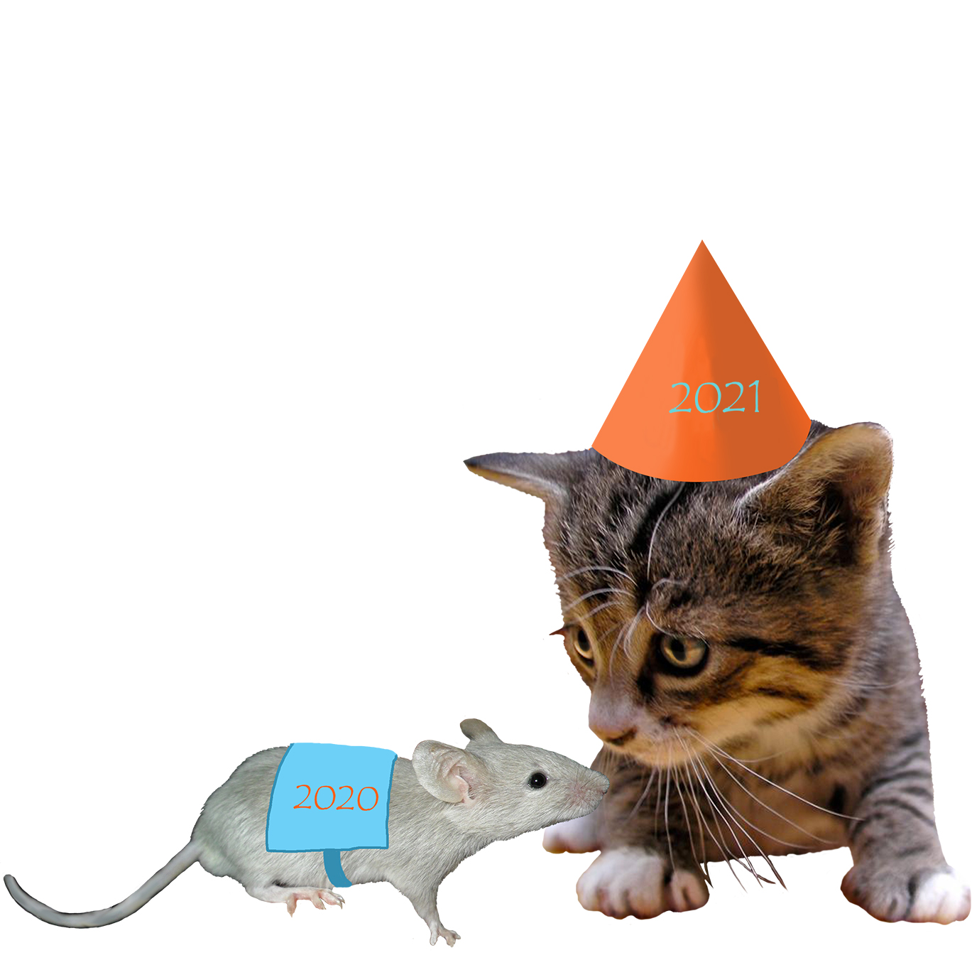 clipart cat and mouse - photo #40