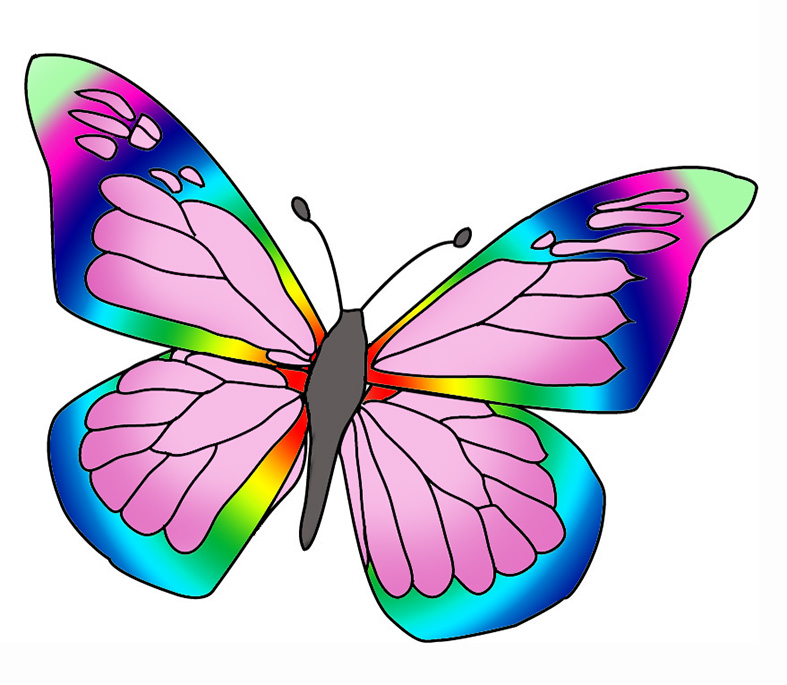free colorful butterfly clipart - photo #9