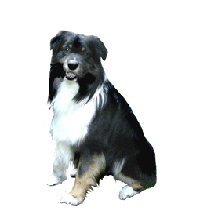 dog-clip-art-black-white-dog