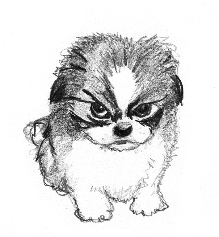 dogsketchessmallangrydgo.jpg (709×769) Dog sketch