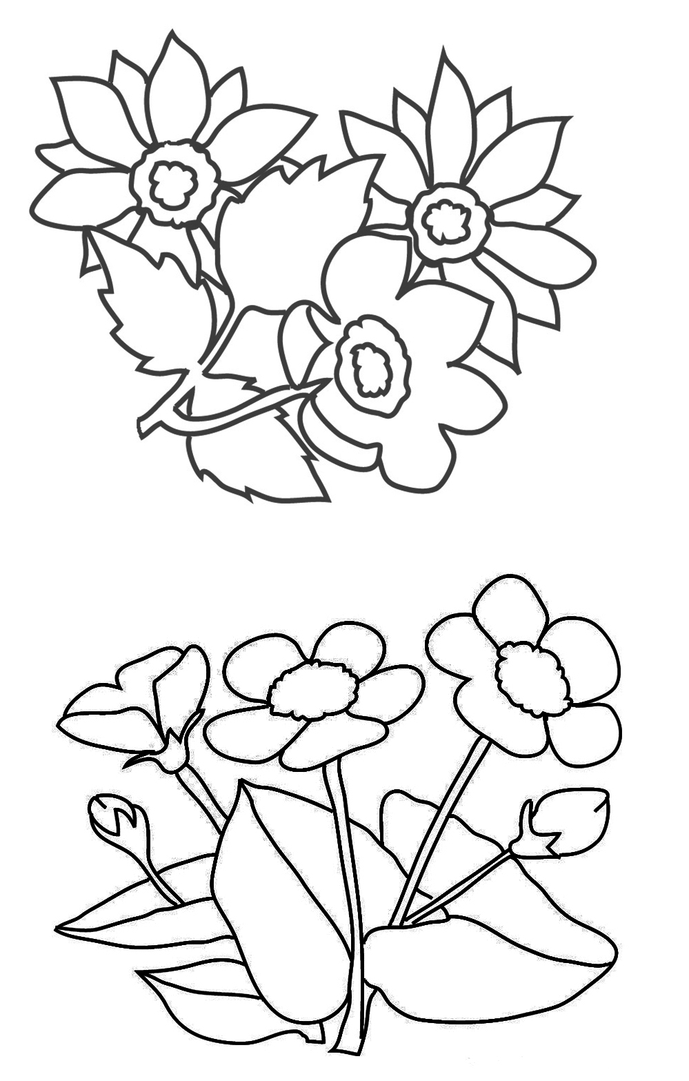 Flowers to color for kids – Flowers Kids Coloring Pages