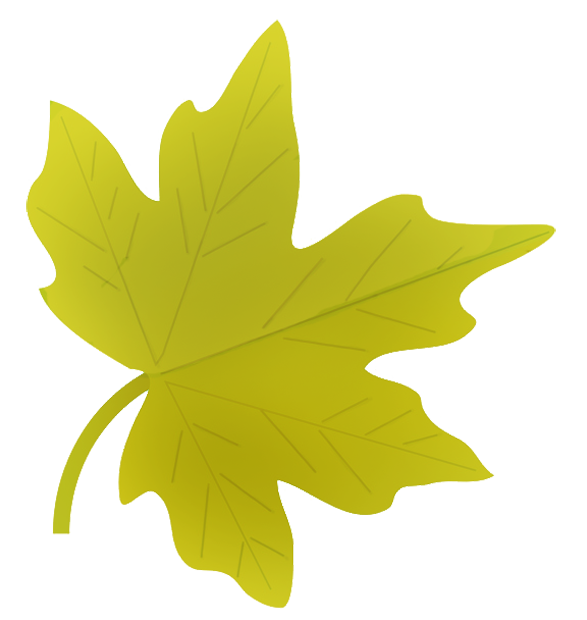 clipart autumn leaf - photo #21