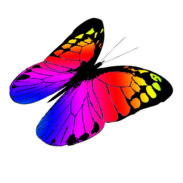 free colorful butterfly clipart - photo #13