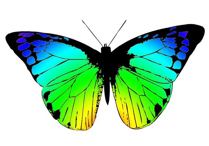 clipart pictures of butterflies - photo #39