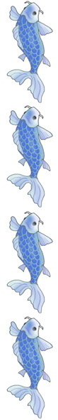koi fish border blue vertical