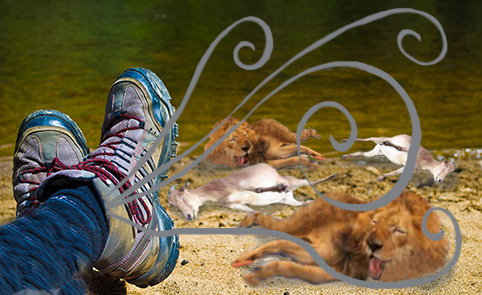 Practical tip for stopping smelling shoes