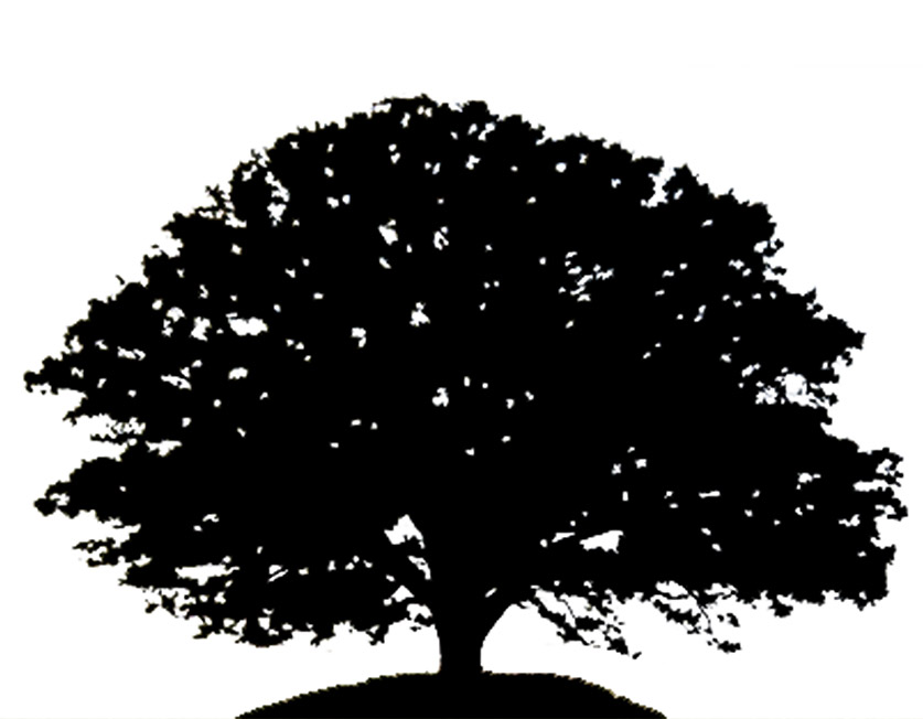 clipart tree black and white - photo #39