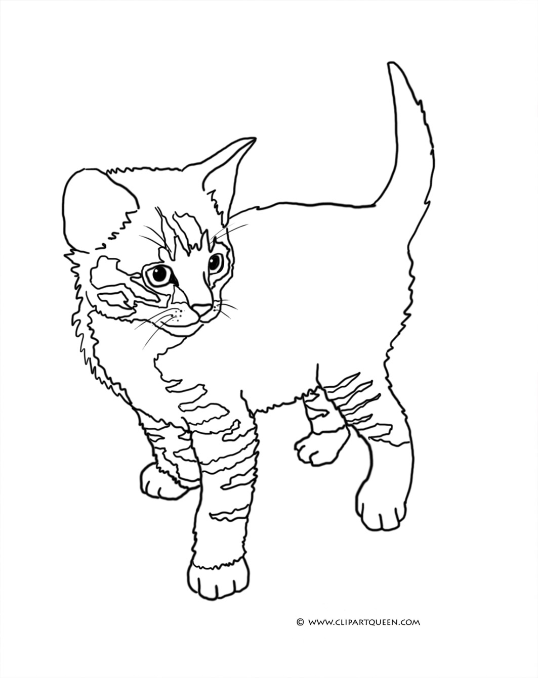 tabby cat coloring pages - photo #1