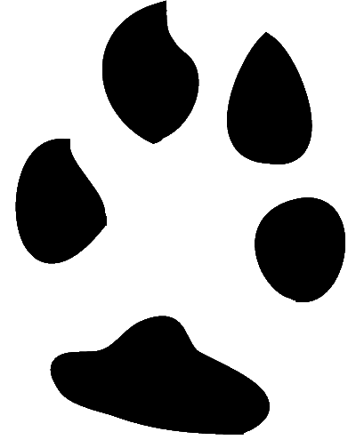 paw-prints-clipart-dingo