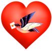 Valentines Day heart with bird and letter