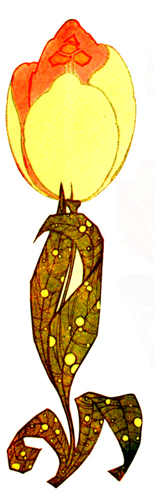 Art Nouveau tulip drawing