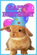 funny birthday clip art