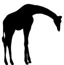 silhouette of giraffe