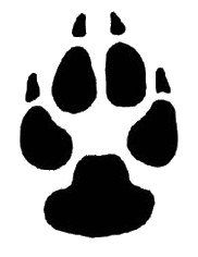 dog sketches paw prints clipart