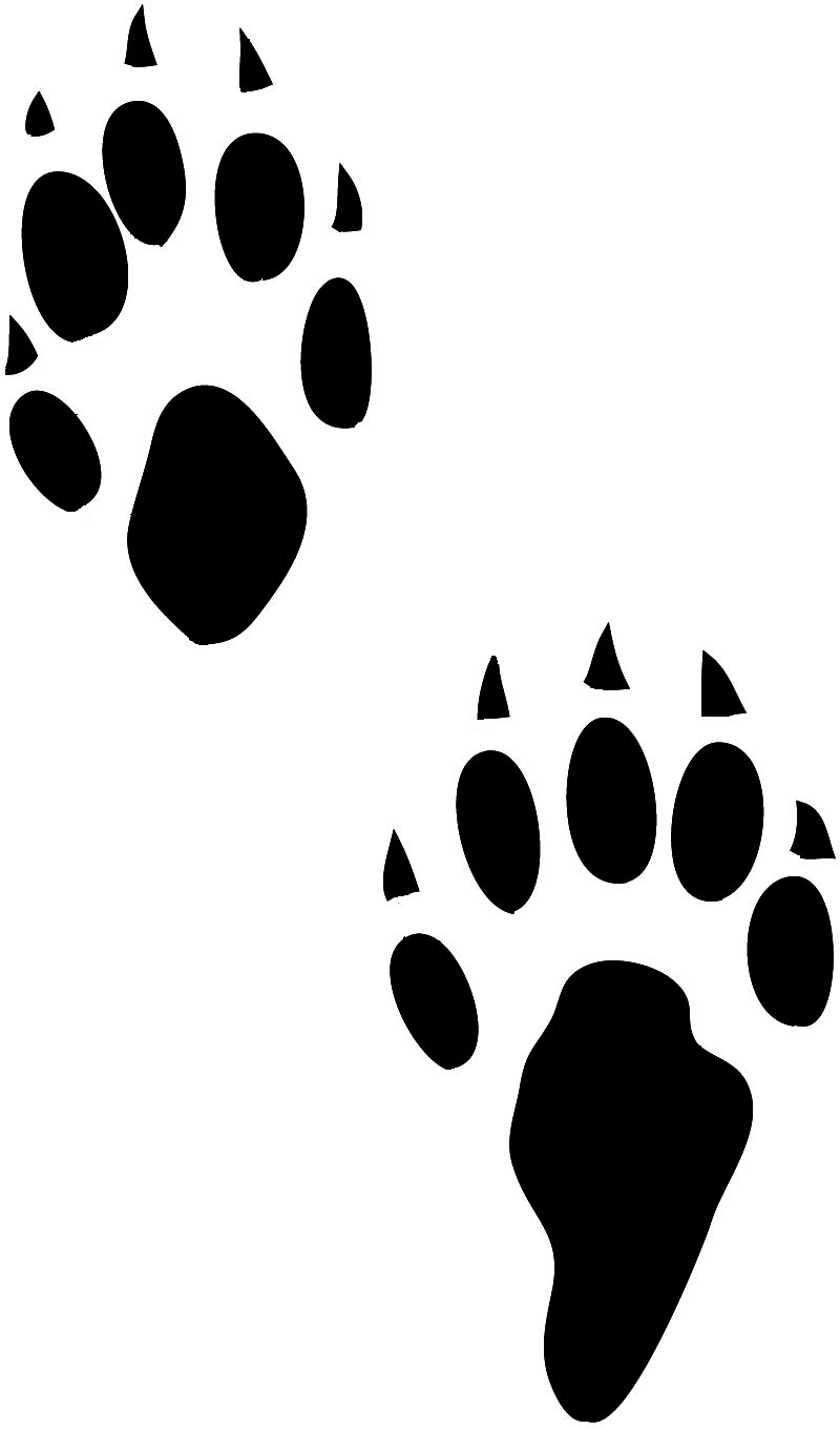 paw prints clipart marten