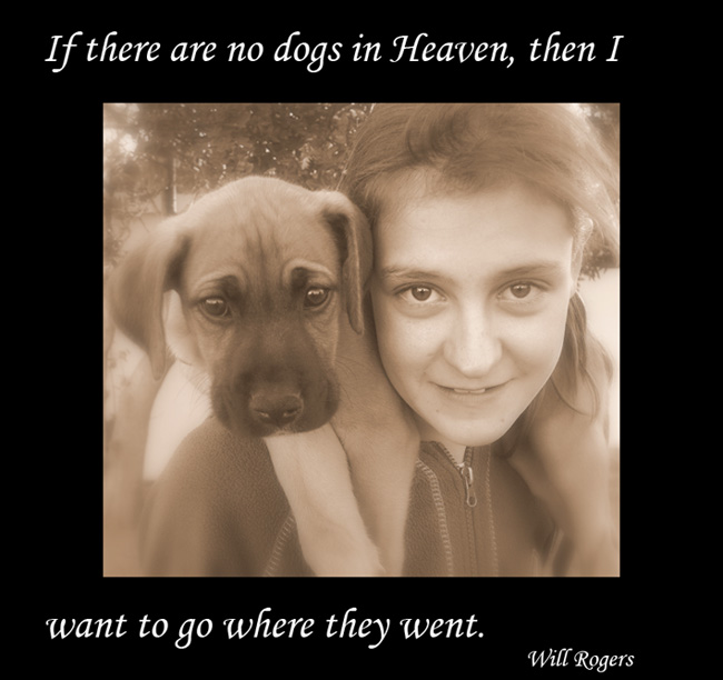 dog picture quote girl love