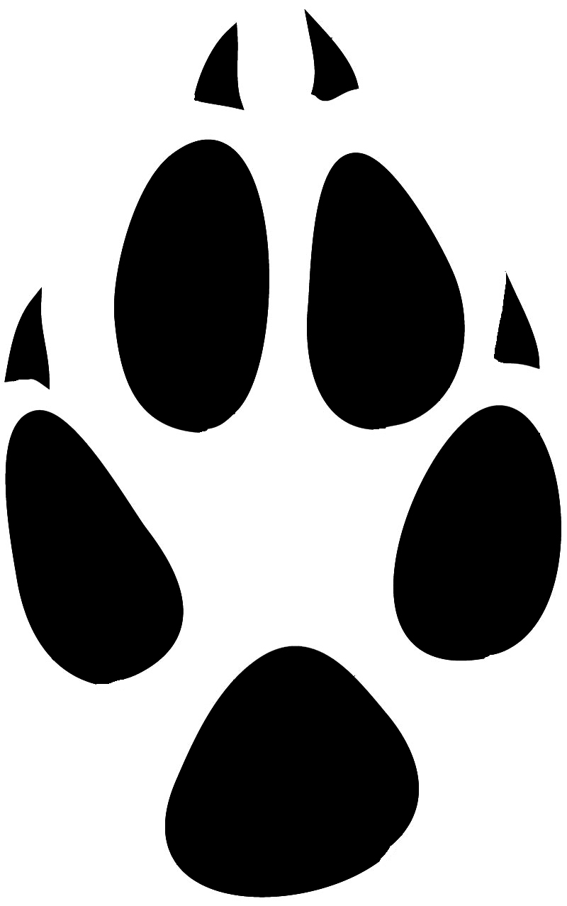 paw print from fox