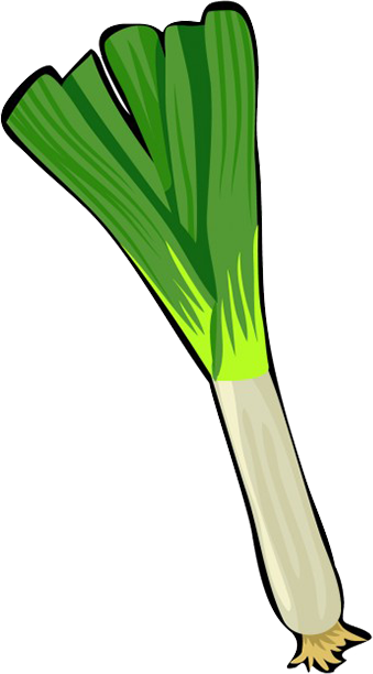 leek clipart