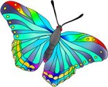 butterfly images