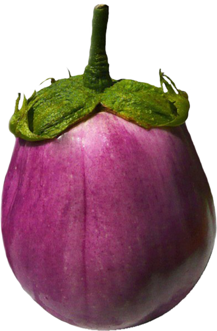 eggplant cut-out image