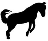 Dancing horse silhouette