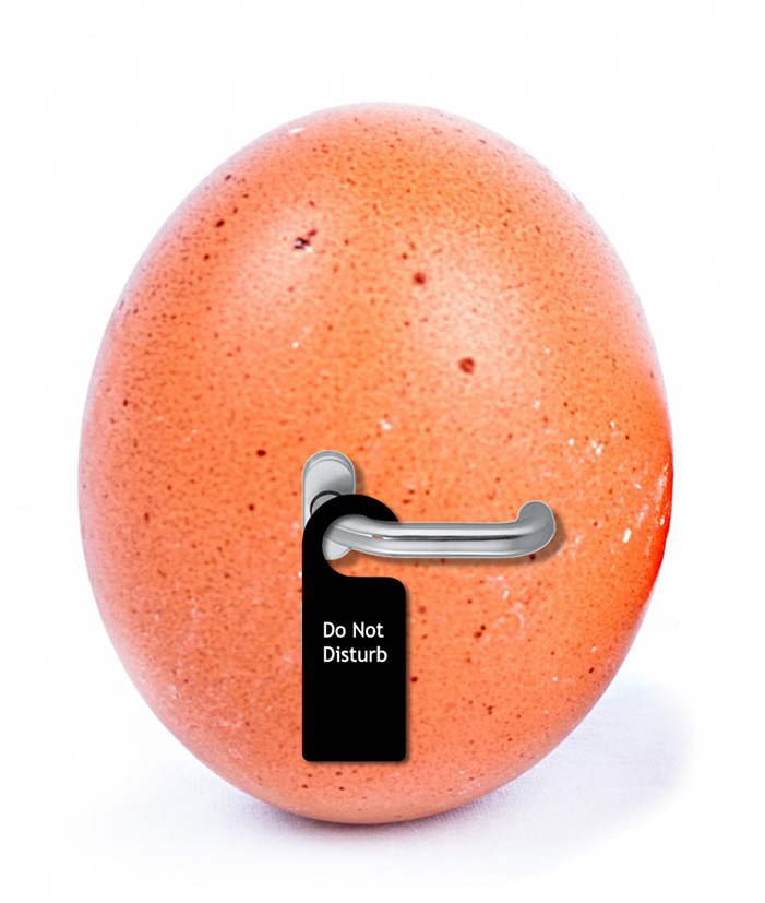 Easter Clip art do not disturb egg