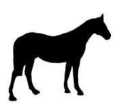 horse silhouette black white