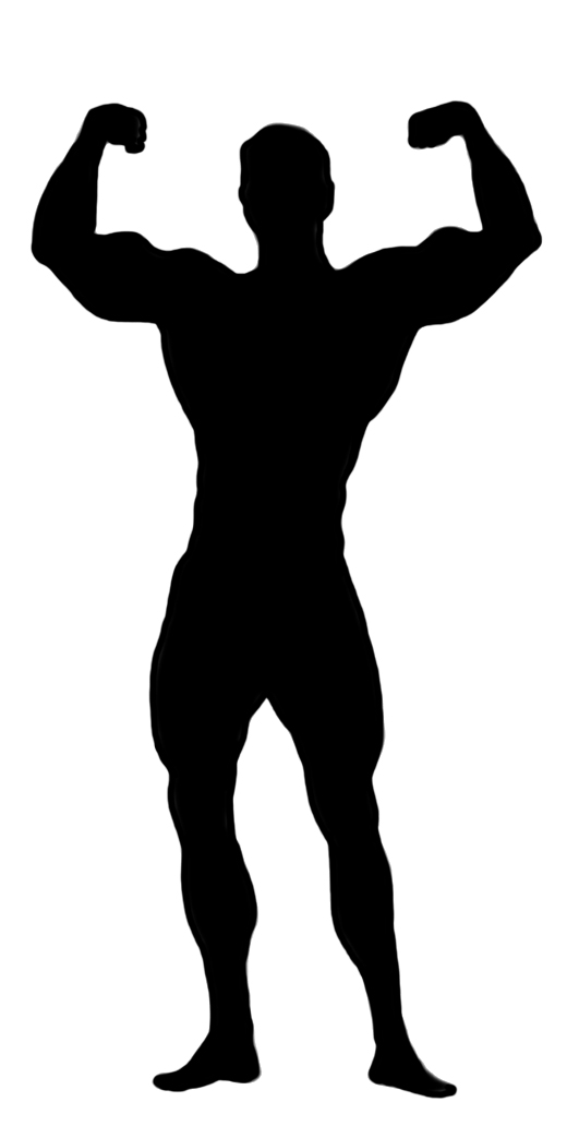 bodybuilder male clipart