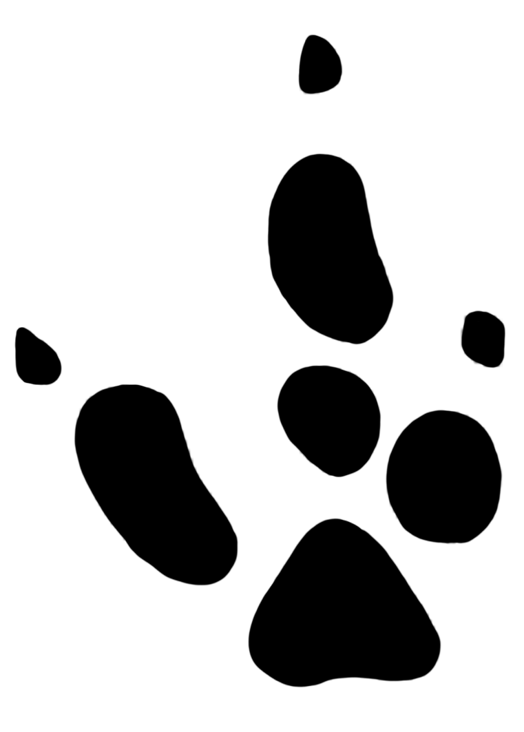 animal track of emu