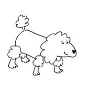Dog clip art poodle sketch