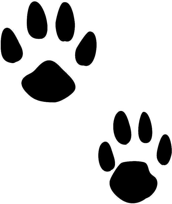 paw print of los front and hind leg