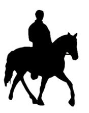 horseman and horse silhouette