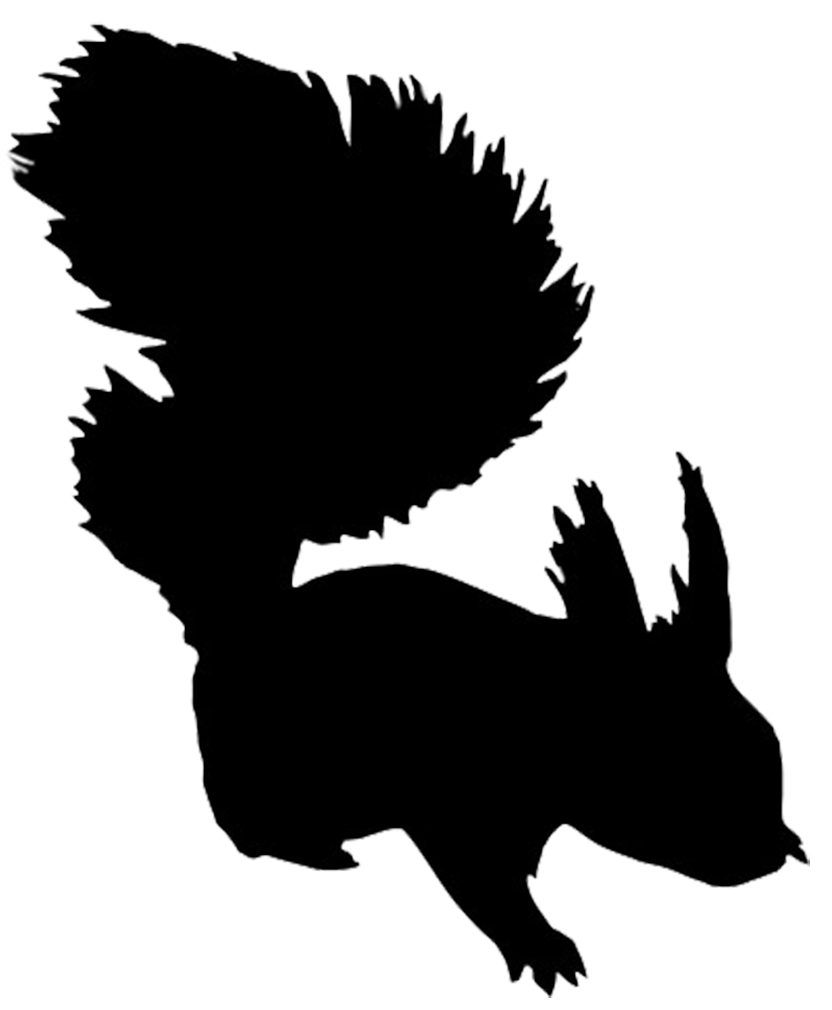 silhouette of squirrel