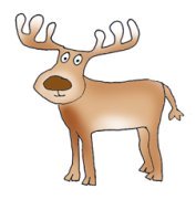 Cute reindeer