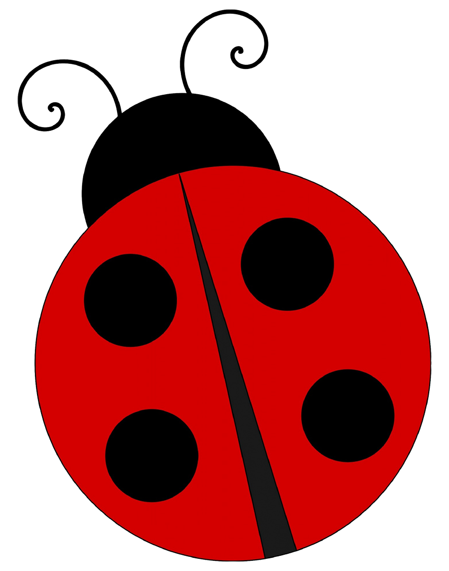 simple ladybug drawing