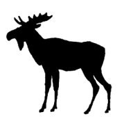 animal silhouette moose