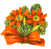 Christmas flower and red bow