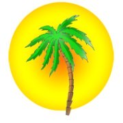 Beach party palm sun clipart