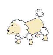 dog clip art poodle drawing