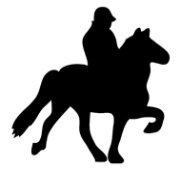 rider and horse silhouette