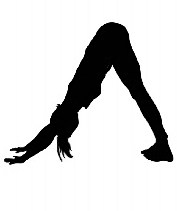 gymnastics clipart