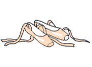 ballet shoes for party clip art