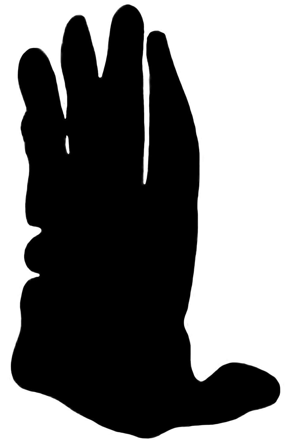 male orangutan paw print
