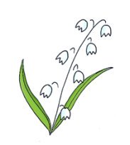 spring clipart lily of the valley