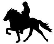 Horsemand and horse silhouette