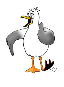 cartoon drawings of animals sea gull