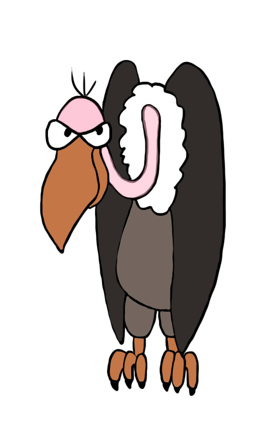 vulture drawing in color